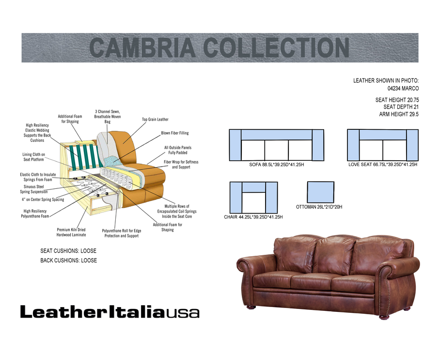Leather Italia USA Cambria Arizona Sofa in Marco