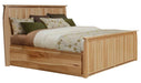 A-America Adamstown Queen Panel Storage Bed image